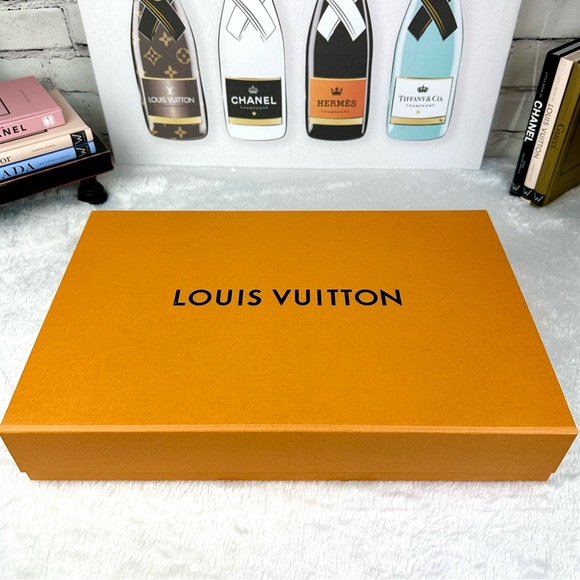 Louis Vuitton Handbags - Louis Vuitton Large size magnetic top box